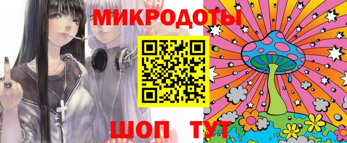 Галлюциногенные грибы Psilocybe Кубинка