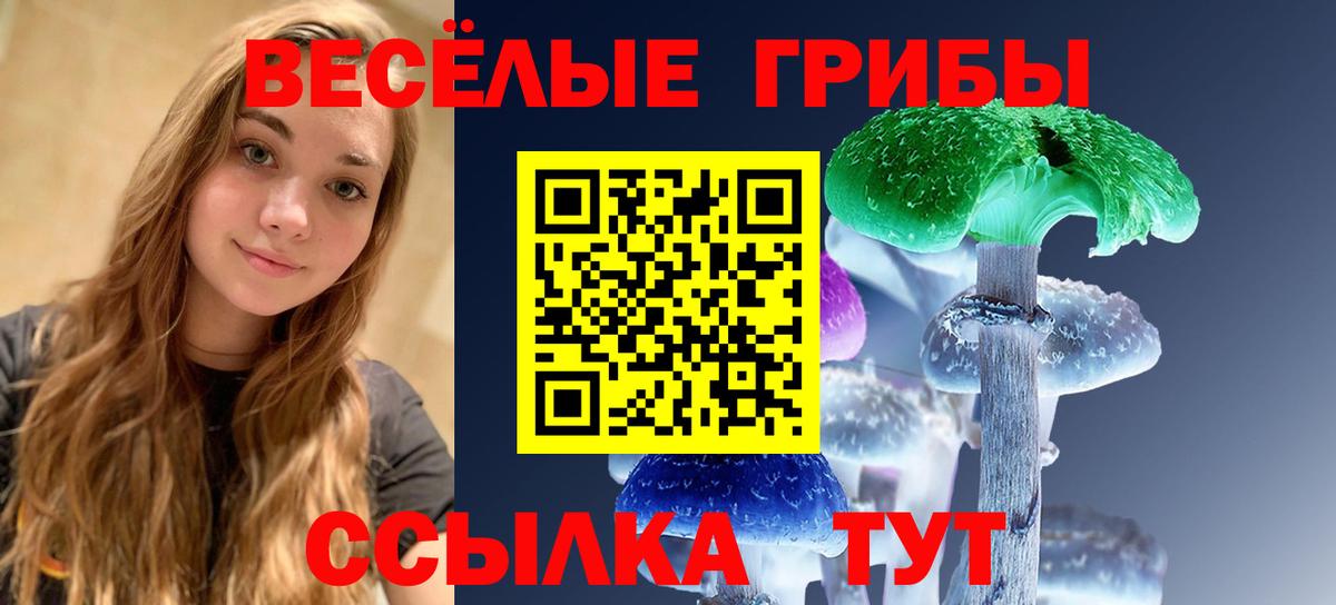 Галлюциногенные грибы мухоморы  купить   Кубинка  Вход с VPN 